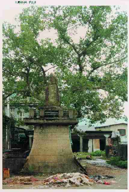 宜蘭市同慶街廢棄人工屠宰場之畜魂碑前景